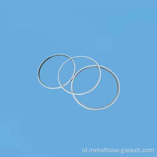 Gasket Luka PTFE dengan cincin dalam